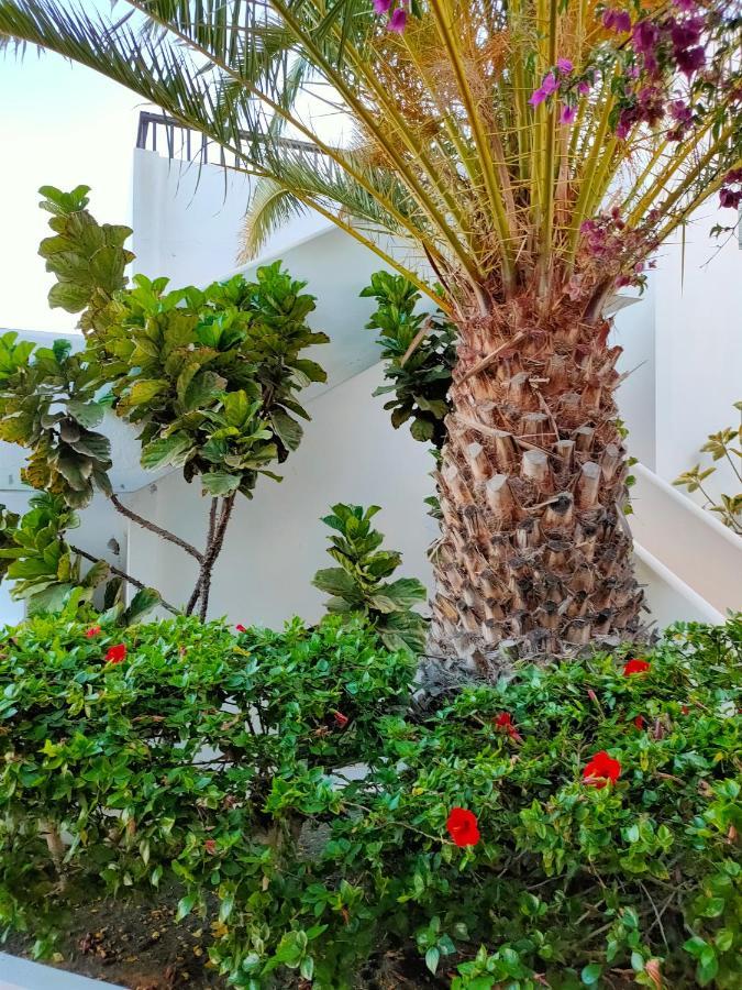 Flor De Cactus Lägenhet Costa Teguise Exteriör bild